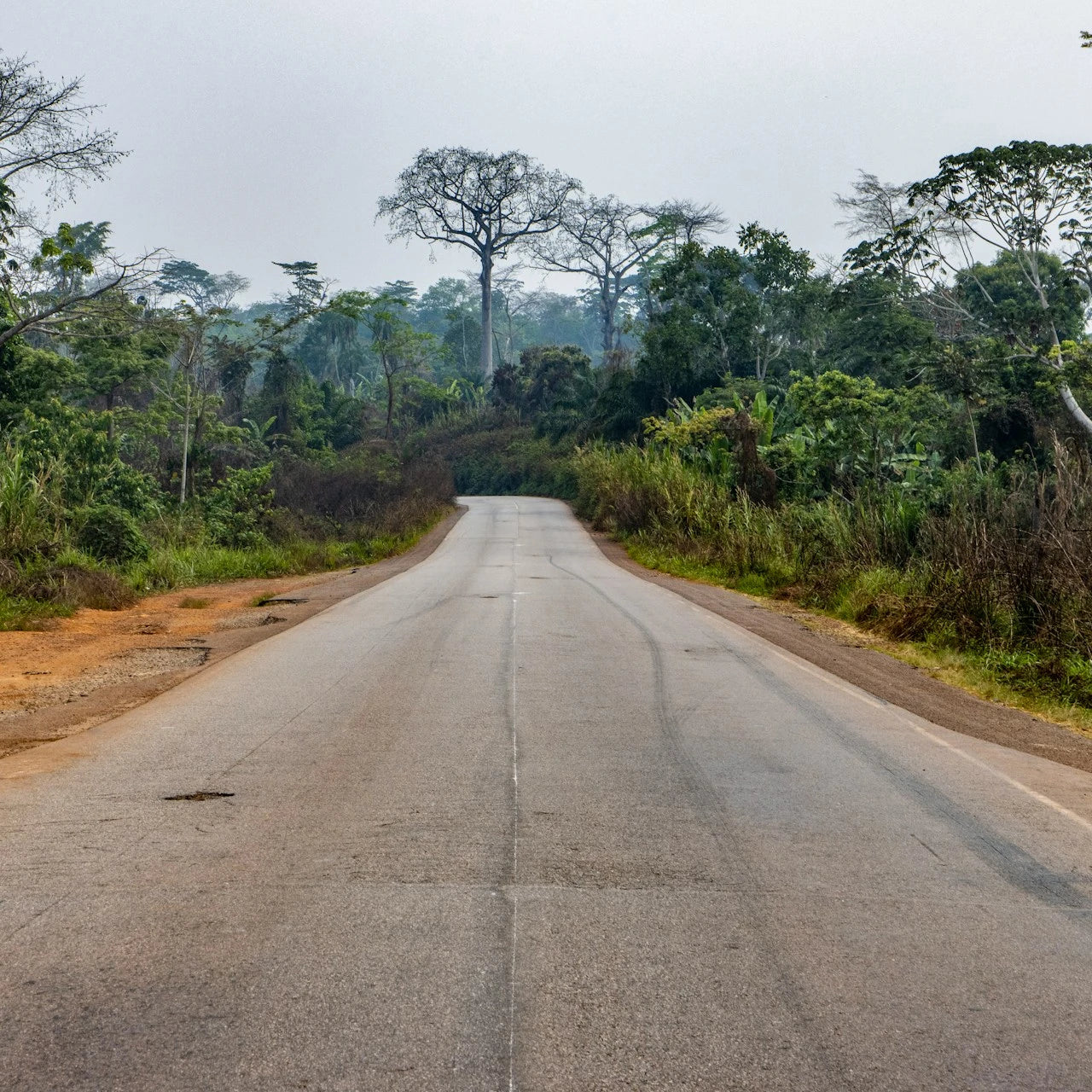 Cameroon