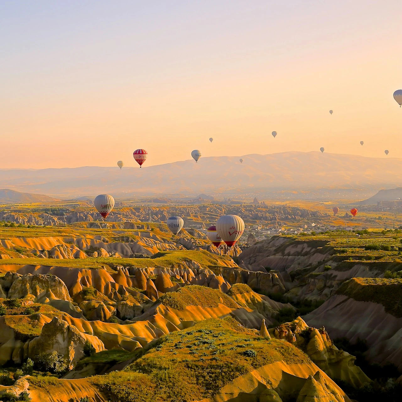 Turkey