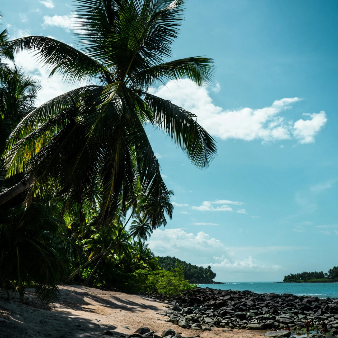 French Guiana