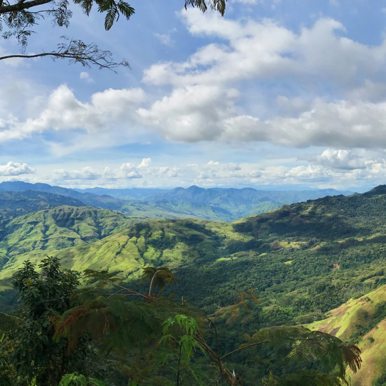 Papua New Guinea