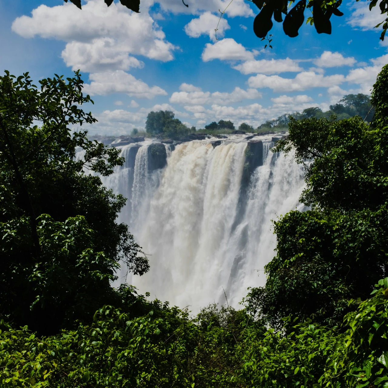 Zambia